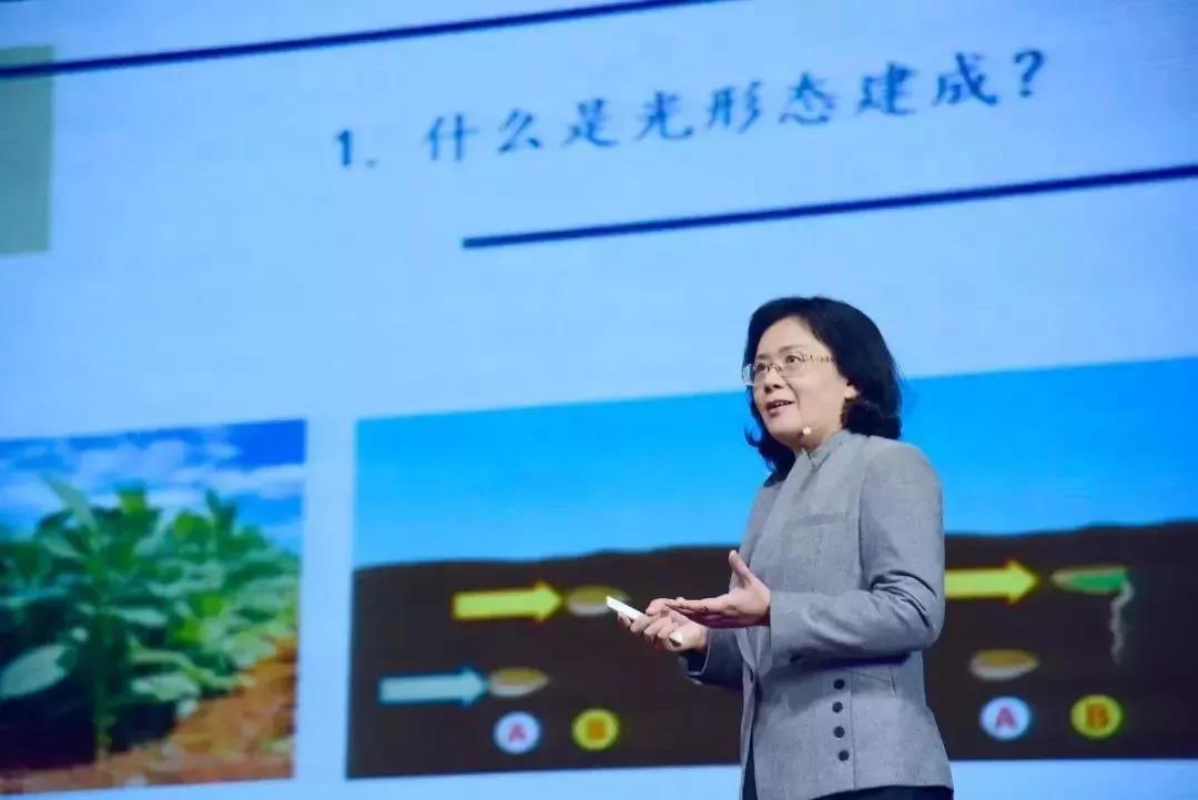 南粤优秀教师莫蓓莘：做一个具有唤醒力的灵魂