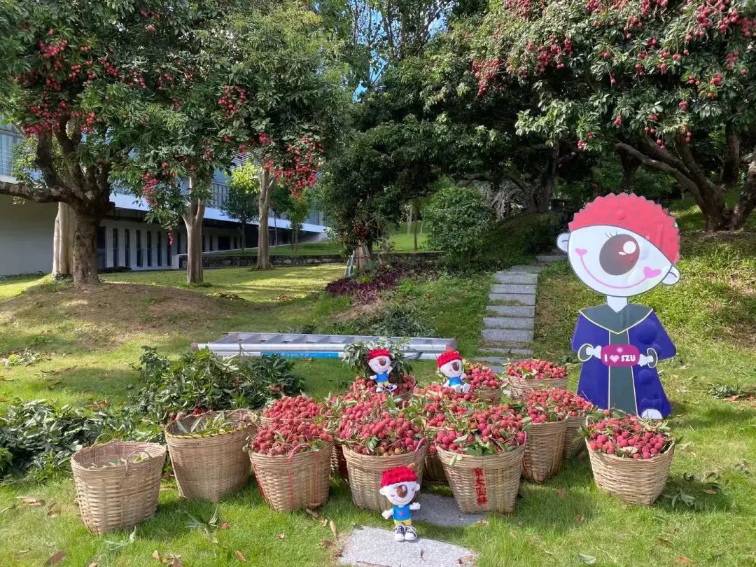 又见荔枝红 | vsport2020官方毕业歌曲MV来了！