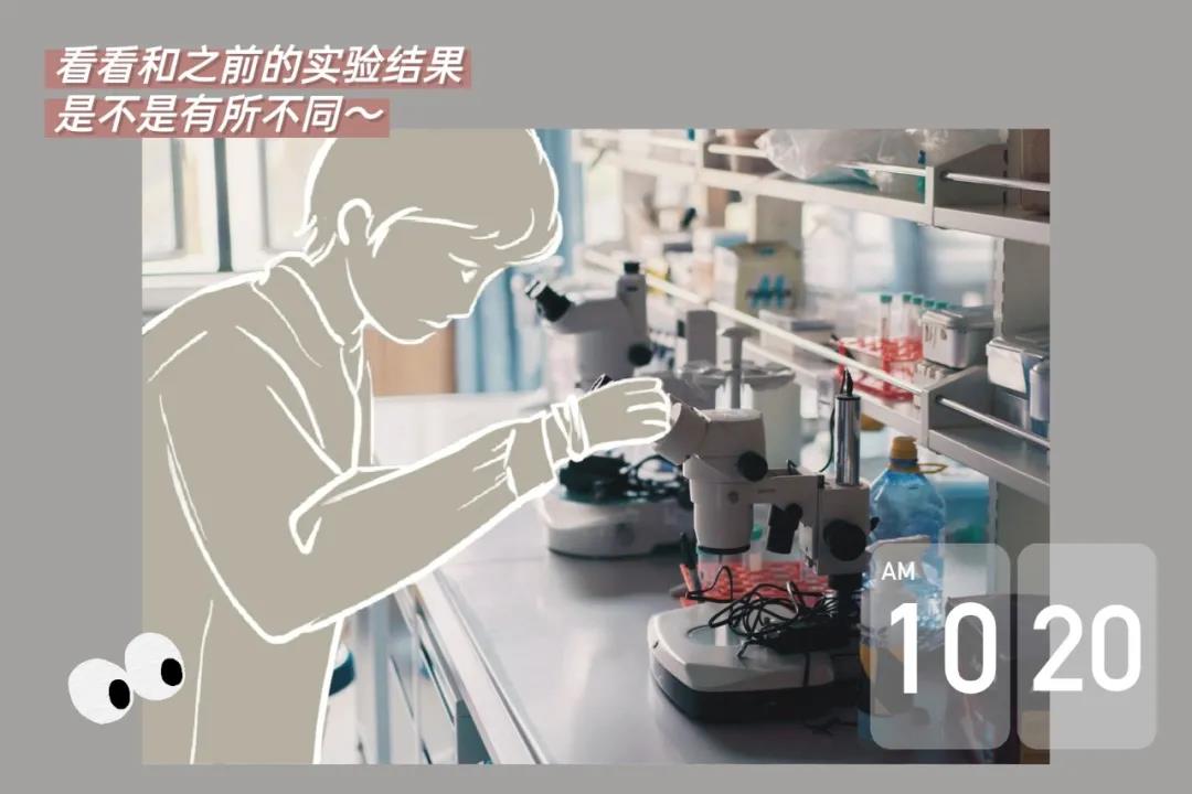 送你这本plog手帐，解锁深大人的一天！