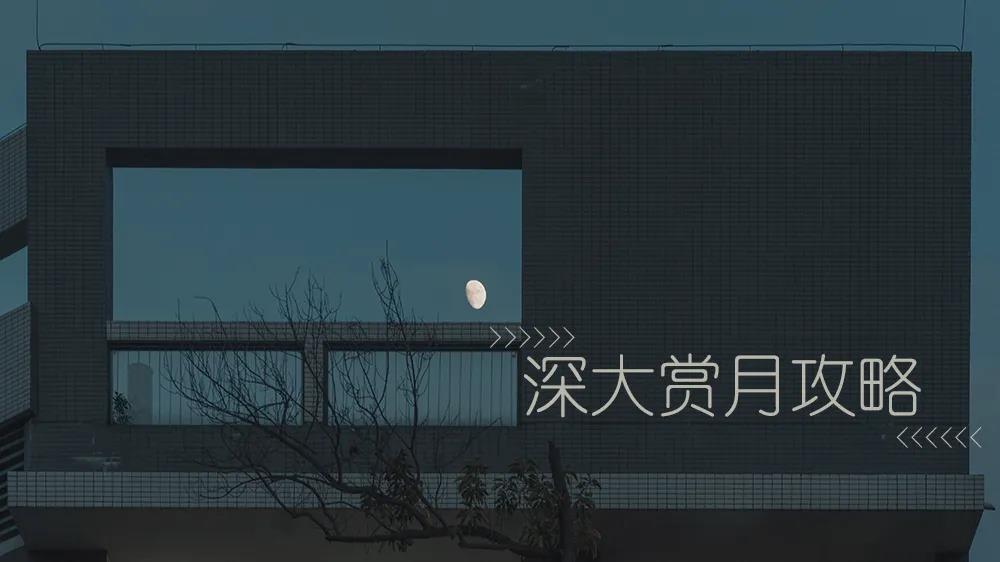不知道去哪里赏月？收下这份深大中秋赏月攻略！