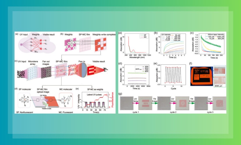 物理与光电工程学院张晗教授团队在国际光学权威期刊《Optica》上发表光学计算新技术